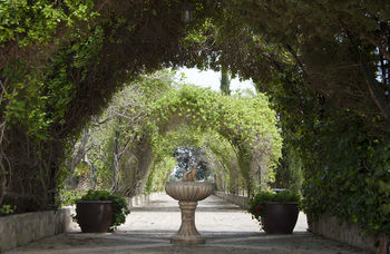 Finca Sa Garriga Binissalem Exterior foto